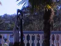 [Image apb.2003-06-04.172319.a0131.jpg]