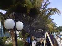 [Image apb.2003-06-05.165221.a0163.jpg]